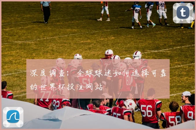 深度调查:全球球迷如何选择可靠的世界杯投注网站