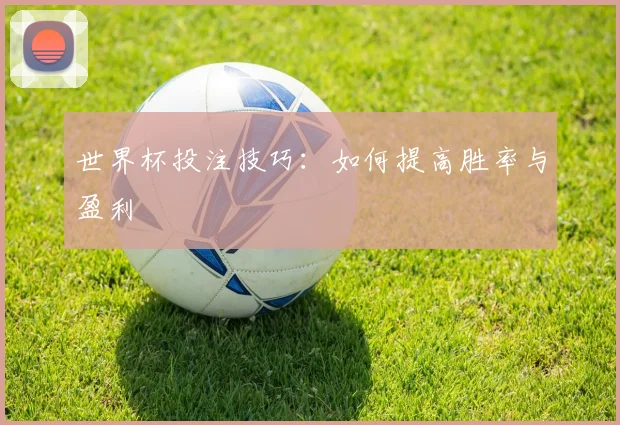 世界杯投注技巧：如何提高胜率与盈利