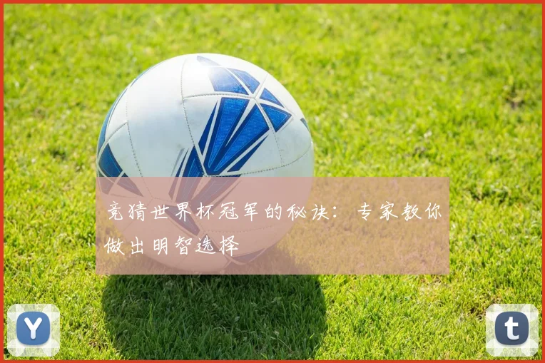 竞猜世界杯冠军的秘诀:专家教你做出明智选择