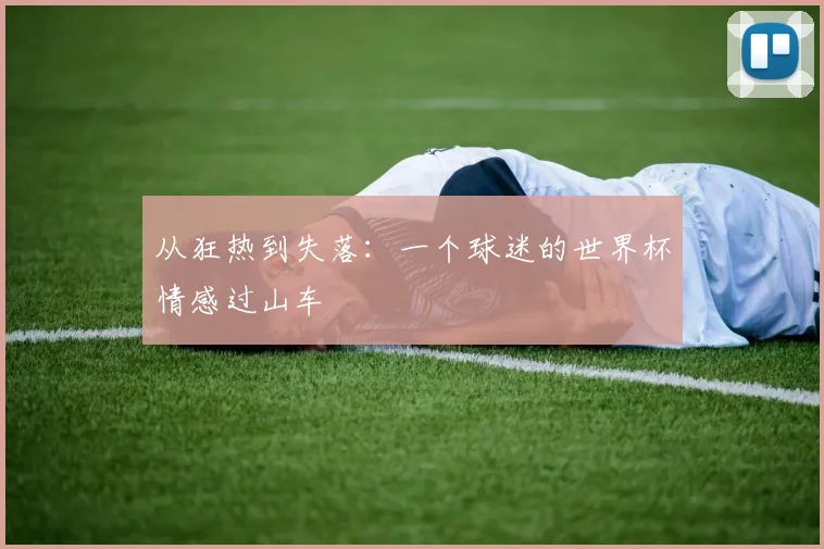 从狂热到失落：一个球迷的世界杯情感过山车