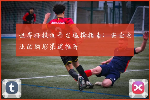 世界杯投注平台选择指南：安全合法的购彩渠道推荐