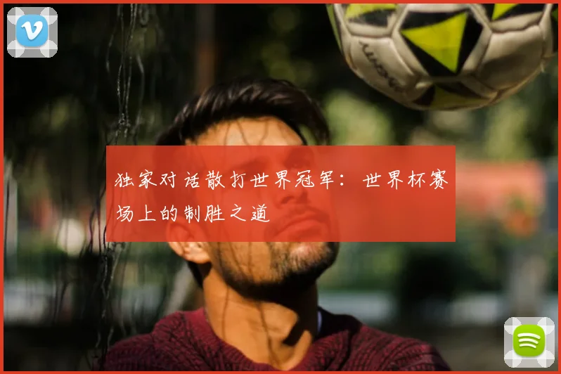 独家对话散打世界冠军：世界杯赛场上的制胜之道