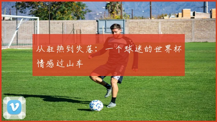 从狂热到失落：一个球迷的世界杯情感过山车