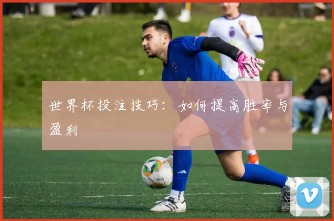 世界杯投注技巧：如何提高胜率与盈利